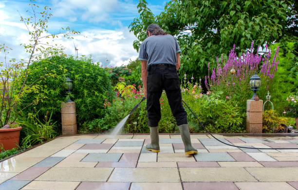Best Animal Enclosure Cleaning  in Pennington, NJ